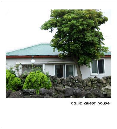 Jeju Daljip Guesthouse Bagian luar foto